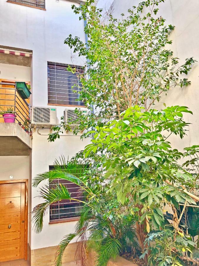 Jazmin Apartamentos Centro Malaga Exterior photo